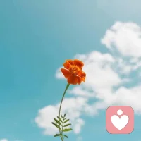 獨處寧靜的空間＋心靜＋盤問：
1、找一張白紙
2、如實記錄，可采用“ABCD四欄法”，如下：A.不幸事件B.事件導致的心情C.解決方案D.行動時間
3、恭喜自己，擁抱自己！
理想和現實差了十萬八千里，我鞭長莫及，卻又馬不停蹄。????配圖