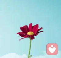 人之所以一邊埋怨自己，一邊又安于現(xiàn)狀，是因為還沒走到無路可走的時候。真正的選擇，是別無選擇。
早安??配圖