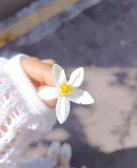 .涼水澆滅了期待，
燙傷的是眼眶！配圖