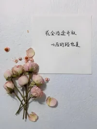 这世界会打击每一个人。
但经历过后，许多人会在受伤的地方变得坚强。配图