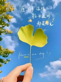 全能感有四个基本变化。
​1、全能自恋：我是全能的神，世界必须按照我的意愿运转。
​2、全能暴怒：意愿被拒绝，神就会变成魔，而生出毁灭欲。
​3、彻底无助：暴怒不能表达，就会转过来攻击自身，让自己不能动弹。
​4、被害妄想：不能动弹时，会觉得所有不顺都是外界的魔鬼害的。配图