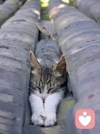 昨天中午到家，刚参加完运动会的小孔同学就开启了吐槽模式：“妈妈，今天立定跳远根本不是我小学时跳的那种！它是助跑跳沙坑！我第一次跳，才跳了2.6米……”

她比划着动作，语气里带着一丝挫败和委屈。

我笑着给了她一个拥抱：“第一次接触新规则，跳不好太正常了。而且，你连小学那种立定跳远和中学助跑跳沙坑的区别都分得这么清楚，说明你观察得很仔细呀。”

她愣了一下，随即笑了：“也是哦，很多同学也是第一次跳。”

在咨询室里，我常常遇到陷入“比较焦虑”的来访者。我们习惯拿自己在新手村的成绩，去对比别人满级后的光芒；用自己“第一次”的笨拙，去苛责自己“不够好”。

但就像12岁的小孔同学，当她被允许承认“这是我第一次跳”时，那份焦虑就变成了释然。每个人面对的人生赛道不同，不必因为别人跳得远，就否定了自己起跑的勇气。

你的价值，从不取决于别人的评价。
你是独一无二的存在，就像夜空中的星星，不必和月亮比光芒。

今天可能也会是一如既往地辛苦，请记得给自己一个拥抱。
你比自己想象的更勇敢，也更值得被爱。配图