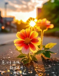 在這個紛擾復雜的世界里，

每顆心都在默默訴說著自己的故事。

有人渴望被聽見，

在寂靜的夜晚尋找一盞指引方向的燈；

有人需要釋放，

在忙碌的日常中尋覓一片寧靜的港灣。

希望我如同夜空中最亮的星，

為您溫暖心靈，照亮前方！配圖