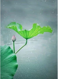 你的為人，

決定你所處的圈子；

反過來你交往的對象，

也反映了你的價值取向。配圖