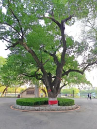 人生旅途中，我們無法選擇原生家庭，但可以選擇接納自己，達成和解，讓自己的戀愛，婚姻工作和生活更美好！配圖