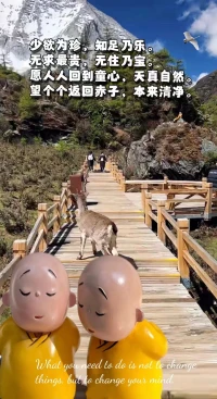 愿我們都能回歸童心，活在清靜自在的當下。配圖