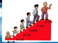 西方心理學技術流派能夠幫助來訪者解決一部分心理問題，八萬四千法門，解脫八萬四千煩惱！

學習佛學經典《金剛經》，《壇經》，《楞嚴經》，《圓覺經》，《傳心法要》，《元音老人》，《印光大師文鈔》等，

慧律法師，
體佛法師，
圣空法師，
視頻內容，

每天堅持早課，誦楞嚴咒和念佛等轉化念頭，恢復本自具足的內心光明，覺照正念。

需要請教當地真正的高僧大德，有真正實修經驗的師父，通過聞思修，可以獲得內心的解脫。

但是十分難的，要看個人的因緣吧。配圖