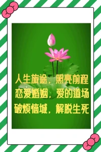 人生百年，如夢幻泡影，你我皆是過客。
原生家庭，不幸和創傷，選擇接納自己。
戀愛婚姻，識人和篩選，經營愛的能力。
個人成長，自卑和孤獨，智慧陽光普照。
人際關系，高情商處事，情緒穩定成圣。
人生煩惱，遇事件危機，智慧分析化解。配圖