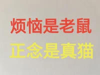 多觀照！
什么時候觀照？
二六時中都要觀照
任何一個起心動念都要觀照，
久而久之就沒有能所
自自然然的契入空性
簡單講就是需要時間。
一定需要時間。

—慧律法師配圖