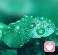 下雨天，給心靈一個休憩的角落，靜聽雨聲，品味生活的淡然。配圖