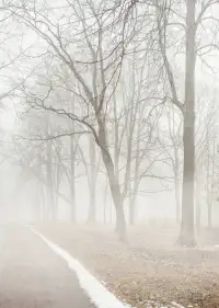 我們常常處在迷霧中，看不見前方的路，內心充滿了惶恐，不安，焦慮。如果你愿意，請讓我默默地陪在你身邊，度過這一段痛苦的旅程，做你的眼睛，給你心靈休憩的港灣。當迷霧散去的時候，一切都豁然開朗，眼前的人和事都變得簡單和輕快起來。配圖