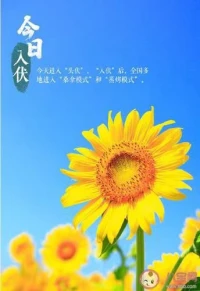 生活中一定要和同頻的人在一起，
     和鼓勵你前行的人在一起
     和有趣有愛的人在一起
     和正能量陽光的人在一起配圖