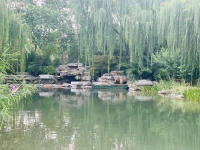 不喜孤独，却享受孤独，悲喜自渡；修自己，向外看，向前走，所有逆袭，都是有备而来的；所有的光芒，都需要时间才能被看到；所有幸运，都是努力埋下的伏笔。配图