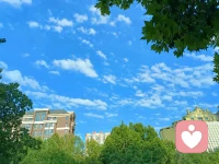 我們的心靈就像一座花園，無論種植什么，它都會生長。如果我們播下愛與希望的種子，花園將綻放出最美麗的花朵。配圖