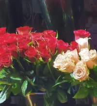 假如你忍不住笑出声来
每当人体分泌27%能够令人心情振奋的β-内啡肽，帮助睡眠和细胞修复的人体生长激素含量会随之提高87%。而这一切，只要看一部搞笑电影就能做到。而且，哪怕只是想笑而没有笑出声来也能够抑制与情绪低落相关的皮质醇和肾上腺的分泌。人在大笑的同时会压抑住许多不必要的压力，心脏病发病率也因此降低。
