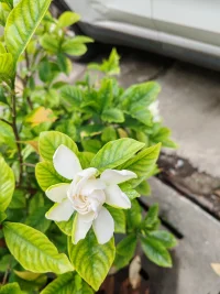 無論結(jié)婚，戀愛，單身，失戀還是離婚，希望我們都能明白，生活的目標(biāo)不是愛情，是快樂??配圖