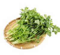 有人喜歡香菜，覺得氣味獨特，令人上頭，有人厭惡香菜，覺得味道令人作嘔。但香菜就是香菜，他沒變，只是吃的人不同罷了。
我們不用對不喜歡我們的人耿耿于懷，因為我們終將找到欣賞自己的朋友，伴侶。配圖