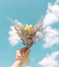 人和人相遇，是一種緣份;人和人相處，是一片誠意。知音是理解與默契;知己是深交與熟悉。這個世界上不要去論誰對不起誰，只有許多誰不懂得珍惜誰。配圖