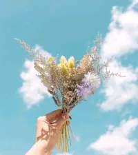 在一切變好之前，我們總要經(jīng)歷一些不開心的日子，這段日子也許很長，也許只是一覺醒來。有時候，選擇快樂，更需要勇氣。