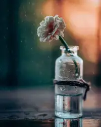 人生總要有點遺憾 ，不然以后老了 ，拿什么談曾經。人生本就是一場馬不停蹄的相遇和告別，有花開就一定會有花落。配圖