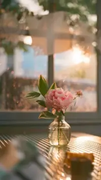 人生總要有點遺憾 ，不然以后老了 ，拿什么談曾經。人生本就是一場馬不停蹄的相遇和告別，有花開就一定會有花落。配圖