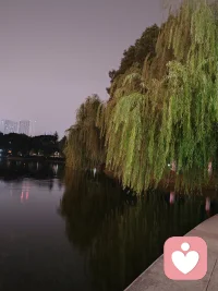 讓花成花，讓樹成樹配圖