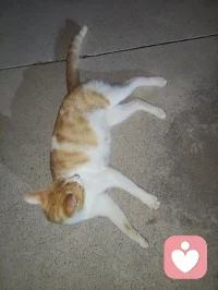 你的心硬起来，狠起来后，你就觉得舒服多了，拿回你的主体性！配图