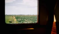 生命的河流流淌著，每一刻的生命體驗(yàn)都在變化著，每一天的生命都是全新的。配圖