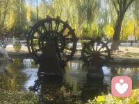 船的命運在于漂泊，帆的命運在于追逐，人的命運在于把握。把握人生，方能青春無悔！別敷衍生活，別懼怕挫折，抓住每分每秒，去努力、去嘗試、去改變，你的努力，就是改變人生最大的底氣！配圖