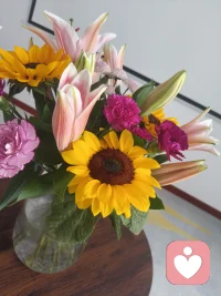 凡是負能量的東西，都不要有任何回應。回應則是與之糾纏，糾纏則是受其損耗。只要內心不接應，所有惡念將原路返回。無論身處什么樣的境地，不逞強，不炫耀，不狂，才能兜住自己的福氣。配圖