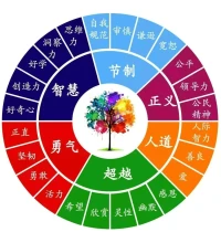把期待从别人身上收回

将关注放在自己身上
同一个人，
同一片景，
同一件事，

关注点不同
感受也全然不同

开始学会
关注自己，
成长自己，

过往不念，
当下不疑，
未来可期