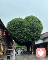 最顶级的利他
是活成一个出口

让那些
被生活困住的人

在看到你的一瞬间
觉得原来还有别的活法配图