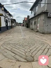 蝴蝶从不羡慕飞鸟
它们有自己的天空

你无需活成别人
属于你的剧本里
你就是主角