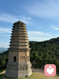 种自己的春秋，赏自己的鬓角。真正的安稳，从来不是赢了谁，而是心里那方寸田地始终由自己耕种，耕种好自己的心田。
