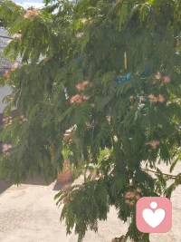 把自己哄好
 
你不需要向谁证明，也不必把每一分钟都过得很有意义。
 
累了就停，难过就哭，饿了就吃，先照顾好自己的感受。
 
温柔，是你给自己最好的礼物。
 
温柔，是你给自己最好的礼物。配图