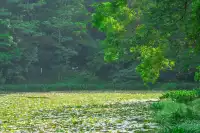 善待他人，更要善待自己，生活會更美好。歡迎咨詢。配圖