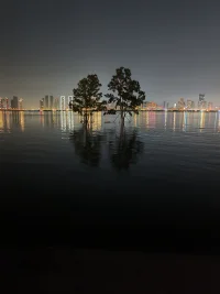 水中的兩棵樹，長江漲水了哦~配圖