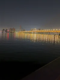 水中的兩棵樹，長江漲水了哦~配圖