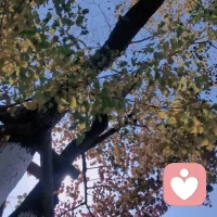 心灵滤镜-1

你有没有发现，我们其实并不是活在这个世界上，而是活在对这个世界的“解读”里？

同样一场雨，有人看见泥泞，有人闻到青草香；同样是黄昏，有人感叹“只是近黄昏”，有人期待“星辰将起”。世界还是那个世界，但它穿过我们内心的滤镜后，便成了千差万别的模样。

所以有人说，你眼里的世界，就是你心里的世界。

有的人眼里只有黑白，那是安全，也是囚笼。在他们的认知里，事物非对即错，人际非友即敌。这种极简的二元逻辑像一道坚固的屏障，挡住了混乱，却也隔绝了丰富。
有的人世界是灰的，那是疲惫后的麻木。仿佛灵魂蒙上了一层纱，看山是山，看水是水，却再也感受不到其中的喜悦与生动。一切都淡淡的，无所谓，也无所畏。
而有的人，世界是五彩斑斓的。他们能捕捉到细微的美好，能在寻常日子里发现诗意，能在一地鸡毛的生活里，依然保有对落日和晚风的钟情。

为什么会有这样的不同？

这确实像极了电脑的出厂设置，或者游戏里角色的初始配置。

有些人的出厂版本，是源代码里就刻着“安全第一”的旧式系统。他们的童年或许没有被稳稳地接住过，为了在那个动荡的环境中活下来，他们不得不关闭了感受的通道，只留下黑白两色来分辨敌我。这套系统让他们安然长大，却也让他们在面对多彩世界时，显得迟钝和格格不入。

更艰难的，是那些心理“配置”似乎已经焊进了血液里的人。他们并非不想走出来，而是每一次尝试升级，都像是一次系统底层的重装。那意味着要推翻旧有的安全感，要直面记忆深处的创伤，要把早已结痂的伤口重新撕开，清创，再等待愈合。

这个过程太疼了。有的人终其一生，也无力完成这次重装。

我们凝视深渊，深渊也在凝视你。当我们长久地沉浸在负面、灰暗的视角里，那套心理模式便会反过来吞噬我们。它让我们以为，世界本就如此。

想到这里，确实有些悲叹。为那些困在黑白世界里的人，也为那些在灰色地带挣扎的灵魂。配图