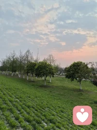 爱与慈悲是怎样炼成的
你看，同样是从小经历过苦难与缺失的人，长大后却走向了截然不同的方向。有的人把那段经历淬炼成了爱的能力——他们拼尽全力去给予，去成为更有力量的人，只为了让下一代、让那些曾经像自己一样无助的人，不再承受同样的缺失。他们成了那个托举他人的人。
而有的人，却只学会了“被对待的方式”，然后用同样的方式去对待别人。像是一种无意识的轮回——他们曾受苦，于是也让别人受苦。
我想，区别或许就在于：一部分人升华了自己的苦难。他们把伤痛变成了创造的动力，尽己所能去照亮更多人。
而另一部分人，始终困在苦难里，没能解救自己，甚至需要用“让别人也经历一遍”来换取内心的平衡。
悲哀吗？真的很悲哀。他自己曾经讨厌的那种人，最后却成了那样的人。
而有的人，因为不喜欢那种方式和人，所以拼尽全力，活成了自己喜欢的样子。
去爱，去减少那些和自己曾经一样受苦的人。
张雪峰老师就是后者。
说实话，我以前只是听过他的名字，没看过他的直播，也说不上了解。但最近看了他的一些视频剪辑，那种真实感击中了我。
他是真真切切地体会过缺失和苦难的人。他不希望女儿再经历那些，也想帮更多贫困的孩子走出迷茫和困顿。
有人曾问他，对女儿的学业有什么要求。他说：学习成绩不是最重要的，考什么大学也不重要，她就轻松自在地成长，不用那么“卷”，我就成为她的后盾。
他是那个自己淋过雨，就想为别人撑伞的人。
他把自己曾经的缺口，变成了托举别人的力量。
他成了那个指引者。
也是直到那一刻，我才明白为什么那么多人会为他心痛——因为我们感受到来自他真切的爱，感受到了自己被看见。也感受到了他的苦、他的艰辛。
可他从不拿苦难当武器，而是把创伤和缺失，一点点转化成了爱，再回馈给这个世界。
他那么努力，不过是想让更多人，包括他的女儿，不必再体会他曾经的无助。
可我想说的是——他也值得被这样爱着啊。
致敬有爱发光🌟的张雪峰老师！
我们爱过的人，和被爱过的感觉，都不会消失。也许在另一个时空里，他也正被温柔地爱着。
愿我们成为像他一样有爱力的人，有能力去回馈爱，也同样被爱着。配图