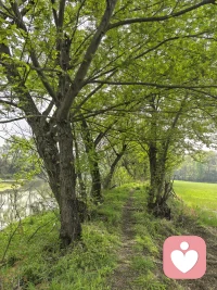 羞耻又内疚，靠近又想远离的拉扯矛盾心里。恐惧孤独的无力感，抓取又破坏的行为，心身分离的空洞，想要得到关注，想要得到理解，行为又不受控的破坏。觉察自己的心深处在对你说什么，才能真的轻松有力量。配图