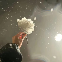 或許，成年人比小孩更需要糖，因為生活真的很苦。”配圖