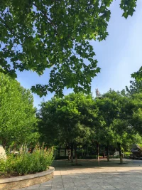 陽光很暖，心里很甜，生活很美，愛生活，愛自己配圖