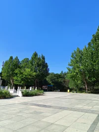 我愛我自己，我尊重我自己，在我心里我很重要，我相信我自己我能行配圖