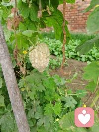 允許一切發生，也接受所有事與愿違。
在人生的起伏里，去修煉內心的平靜。
人生值得，未來可期。
愿往后的日子，有趣有盼，自在又坦然。配圖