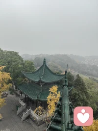 第一天上线，感谢平台，感恩遇见

❤️❤️❤️

愿见闻念触皆快乐配图