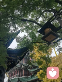 即便你做到了100%，也只是滿足了一個條件。一件事的圓滿，可能是聚攏許多條件而成。不用過分苛責自己，認識到無常，因上盡力，果上隨緣。配图