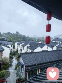 我用真心待你，但不执著于你。活在缘分中，而非关系里。一切世间相变化无常，依心而建立，懂得随缘，你就不苦。配图