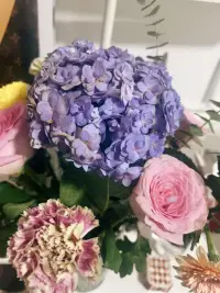 我愿定义本周为收花周
谁能拒绝花花呢💐🌹🌸
花有神奇治愈魔力💫💫💫配图