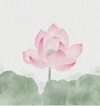 同樣的因緣無法重現～

時間飛逝。

我們是一群搭載時間之車的乘客，疾駛在生命的單行線上。無法減速，不能回頭。

悲喜，聚散，成敗，像路邊的花草，一閃而過。

一切的經歷和感受，都徑自往身后狂奔而去；我們卻是徑自前行。很奇妙，人們以為自己是與生活同行，而原來只是擦肩而過。配圖